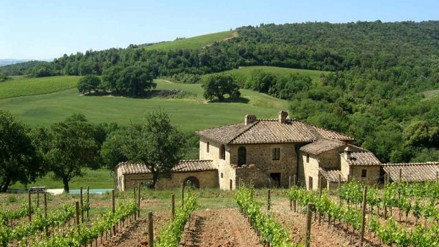 Vigne, Italy